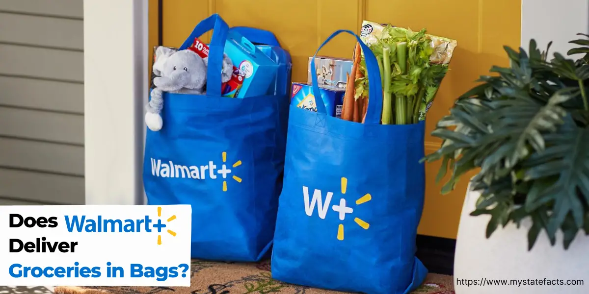 Does Walmart Deliver Groceries in Bags (1)