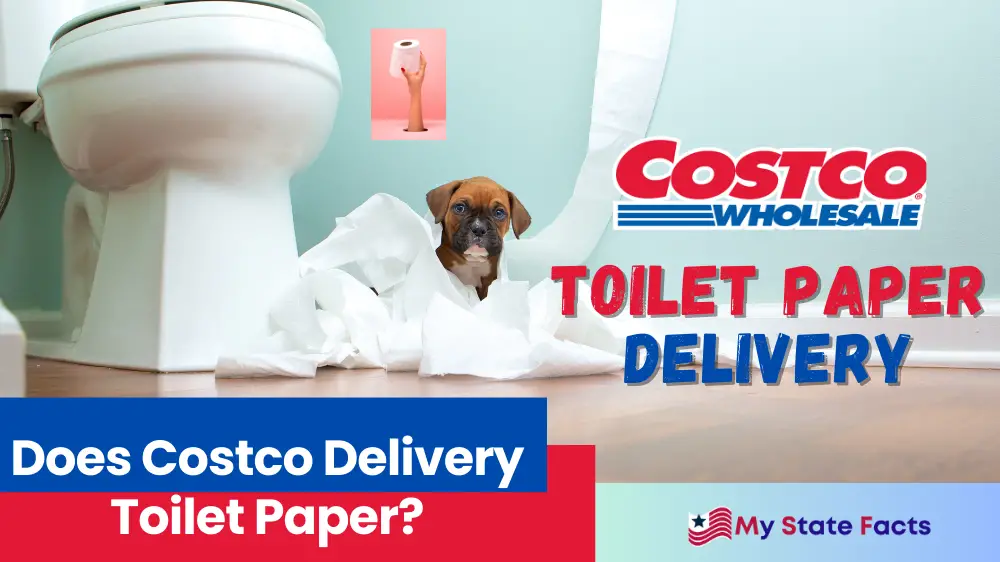 Does Costco Delivery Toilet Paper? My State Facts