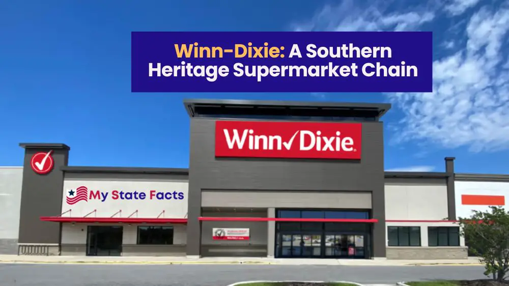 Winn-Dixie: A Southern Heritage Supermarket Chain