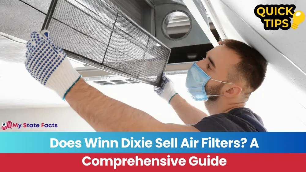 Does Winn Dixie Sell Air Filters? A Comprehensive Guide