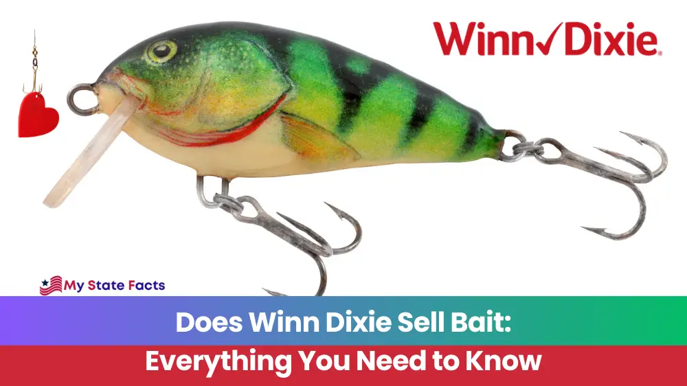 Does Winn Dixie Sell Bait: Everything You Need to Know