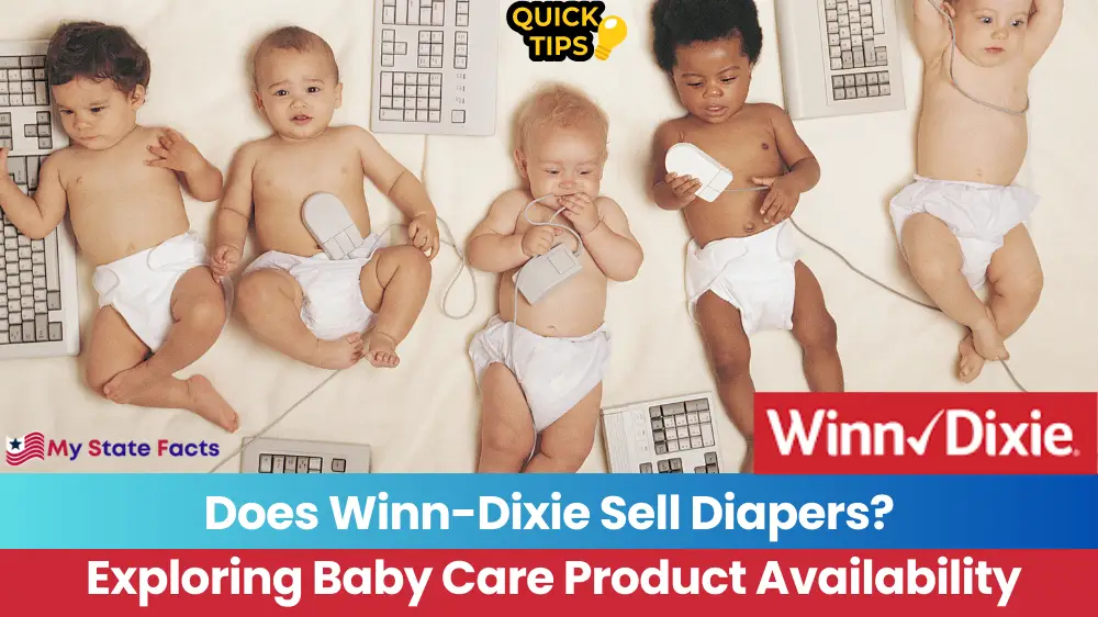 Does Winn-Dixie Sell Diapers? Exploring Baby Care Product Availability
MyStateFacts