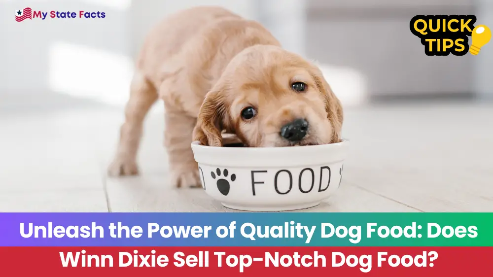 Unleash the Power of Quality Dog Food: Does Winn Dixie Sell Top-Notch Dog Food?