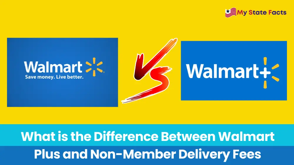 What is the Difference Between Walmart Plus and Non-Member Delivery Fees