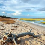 10 Best Beaches In Georgia
